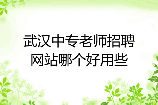 武汉中专老师招聘网站哪个好用些