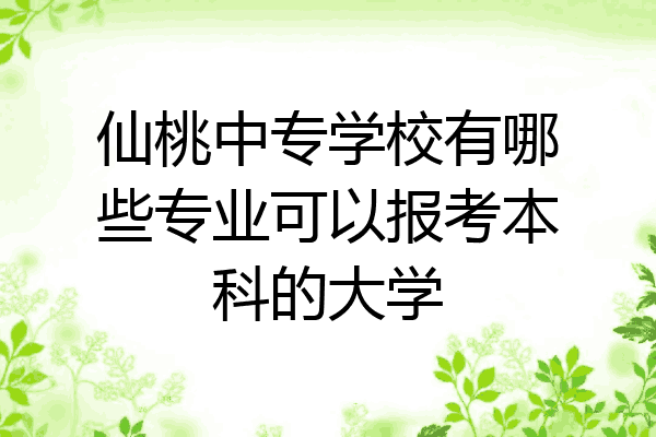 仙桃中专学校有哪些专业可以报考本科的大学