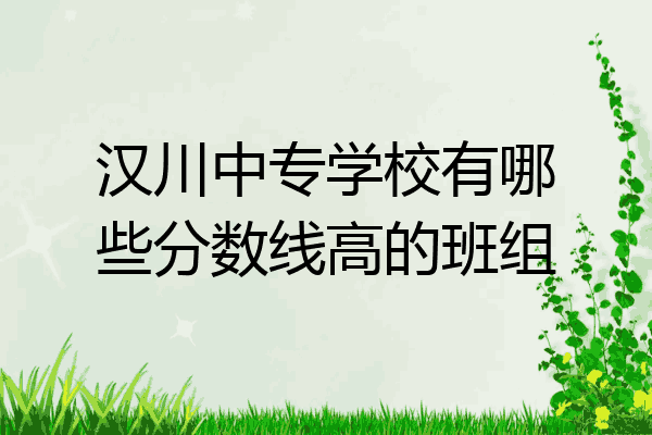 汉川中专学校有哪些分数线高的班组
