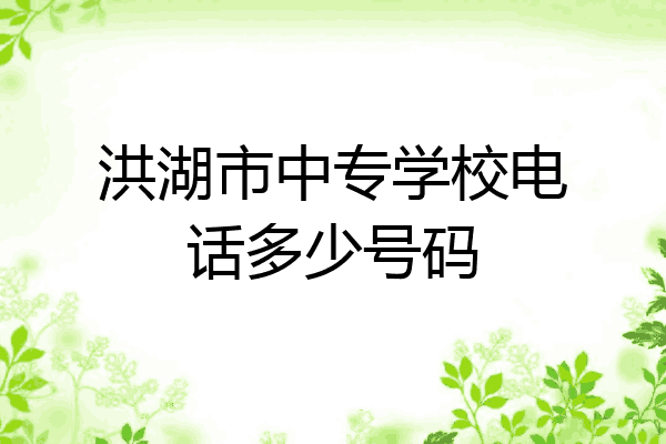 洪湖市中专学校电话多少号码