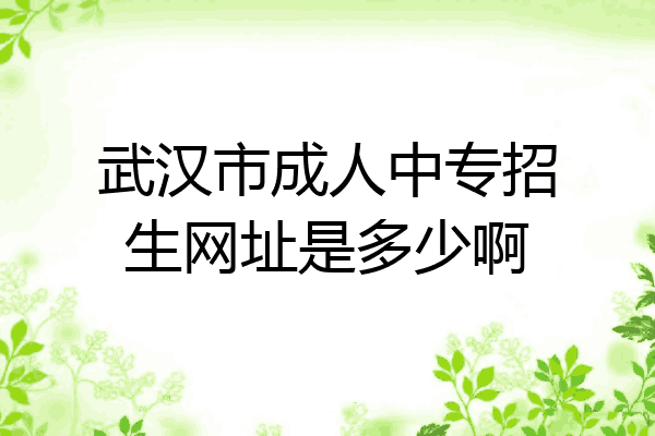 武汉市成人中专招生网址是多少啊