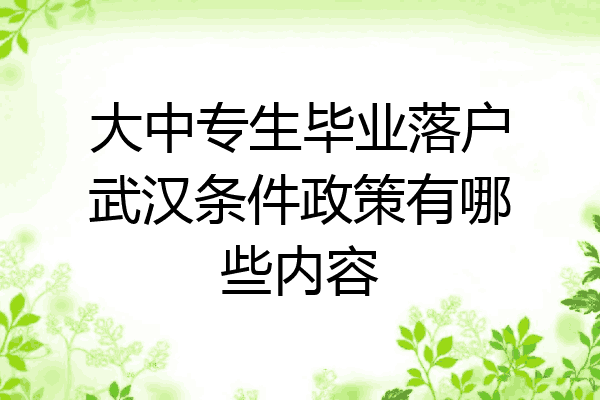 大中专生毕业落户武汉条件政策有哪些内容