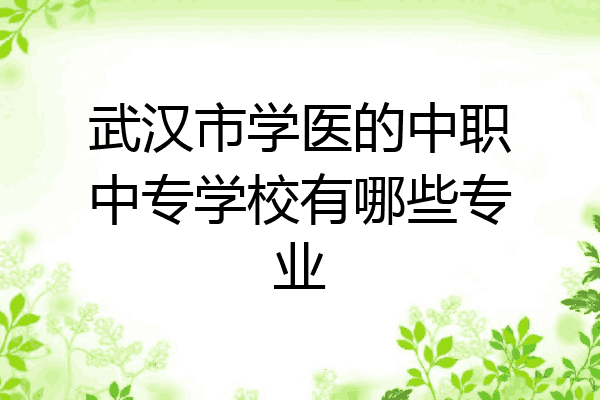 武汉市学医的中职中专学校有哪些专业