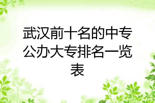 武汉前十名的中专公办大专排名一览表