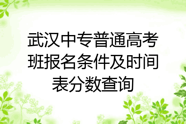 武汉中专普通高考班报名条件及时间表分数查询