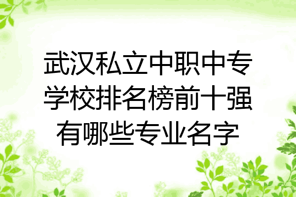 武汉私立中职中专学校排名榜前十强有哪些专业名字