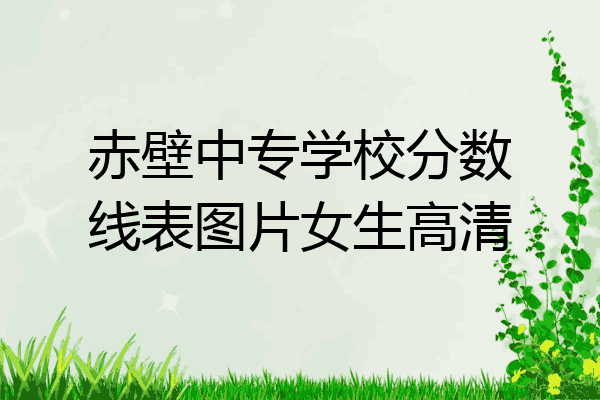 赤壁中专学校分数线表图片女生高清