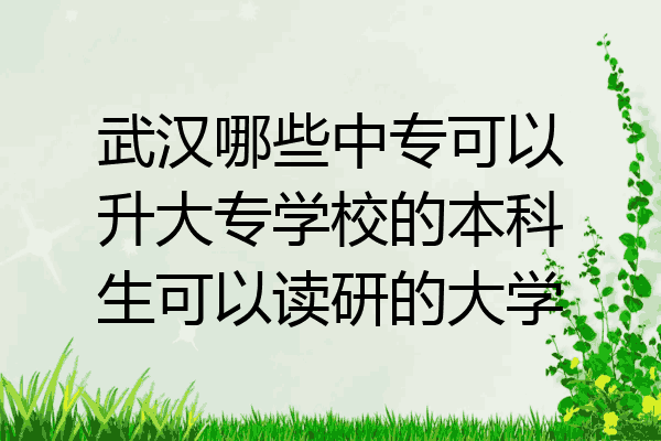 武汉哪些中专可以升大专学校的本科生可以读研的大学