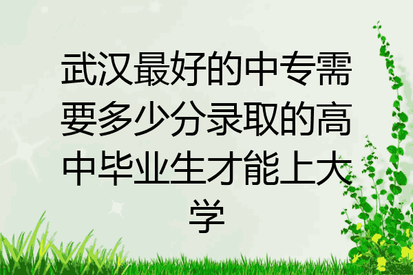 武汉最好的中专需要多少分录取的高中毕业生才能上大学