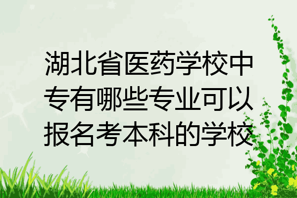 湖北省医药学校中专有哪些专业可以报名考本科的学校