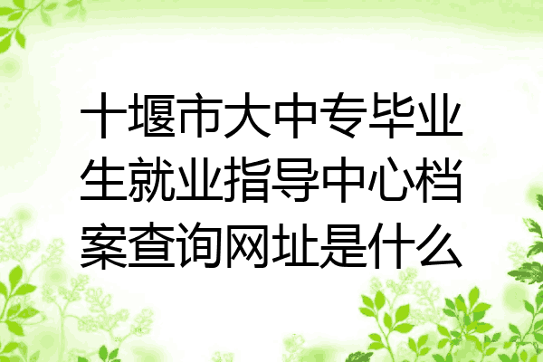 十堰市大中专毕业生就业指导中心档案查询网址是什么