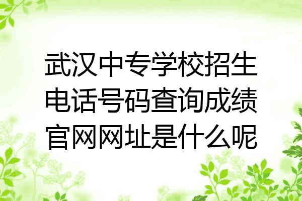 武汉中专学校招生电话号码查询成绩官网网址是什么呢