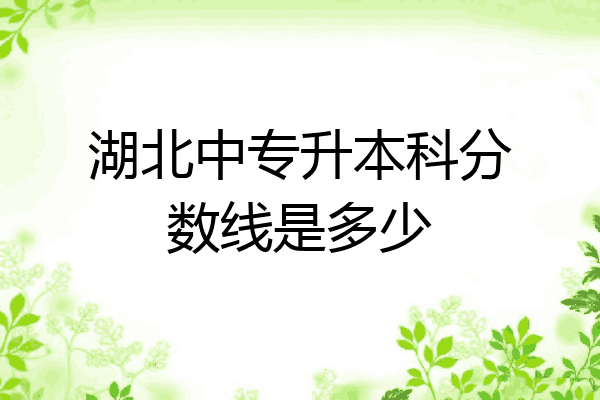 湖北中专升本科分数线是多少