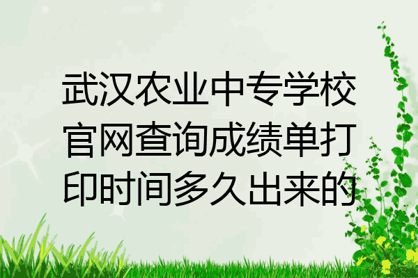 武汉农业中专学校官网查询成绩单打印时间多久出来的