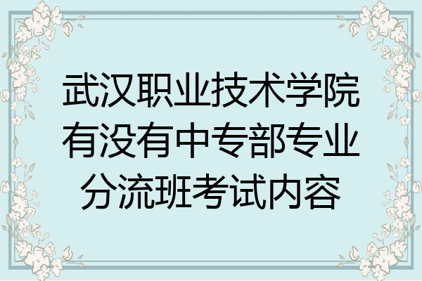 武汉职业技术学院有没有中专部专业分流班考试内容