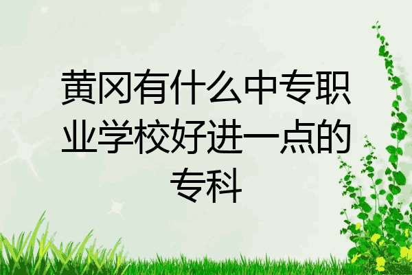 黄冈有什么中专职业学校好进一点的专科