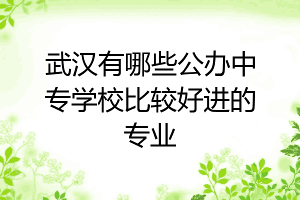 武汉有哪些公办中专学校比较好进的专业