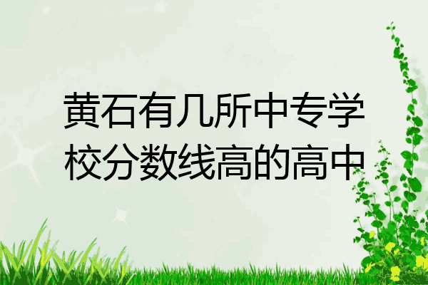 黄石有几所中专学校分数线高的高中