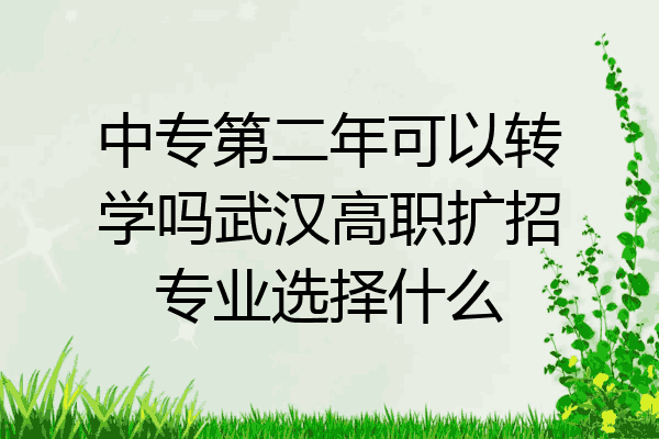 中专第二年可以转学吗武汉高职扩招专业选择什么