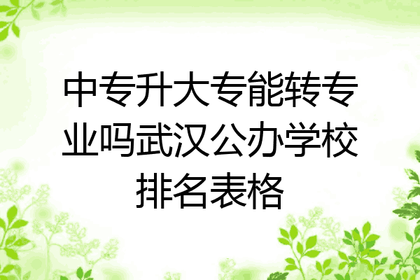 中专升大专能转专业吗武汉公办学校排名表格