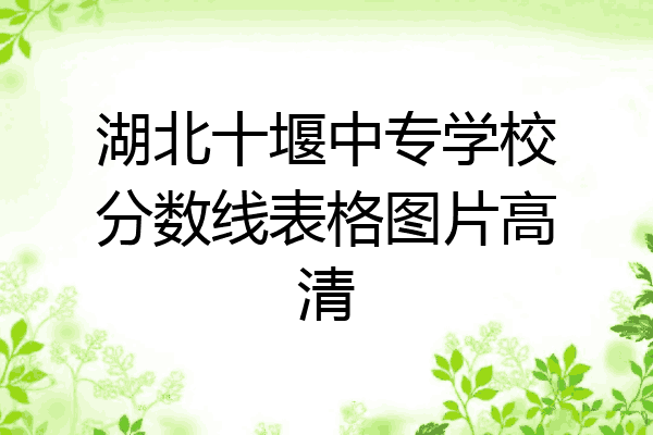 湖北十堰中专学校分数线表格图片高清