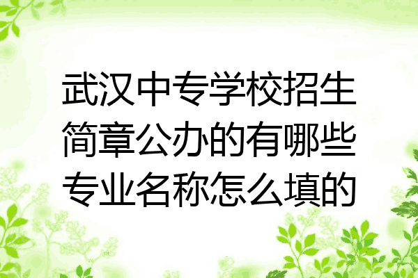 武汉中专学校招生简章公办的有哪些专业名称怎么填的