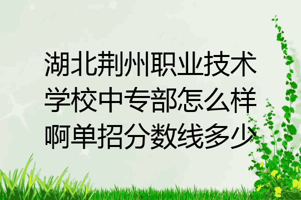 湖北荆州职业技术学校中专部怎么样啊单招分数线多少