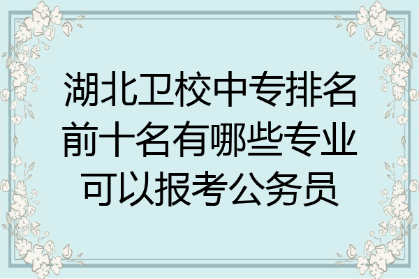 湖北卫校中专排名前十名有哪些专业可以报考公务员
