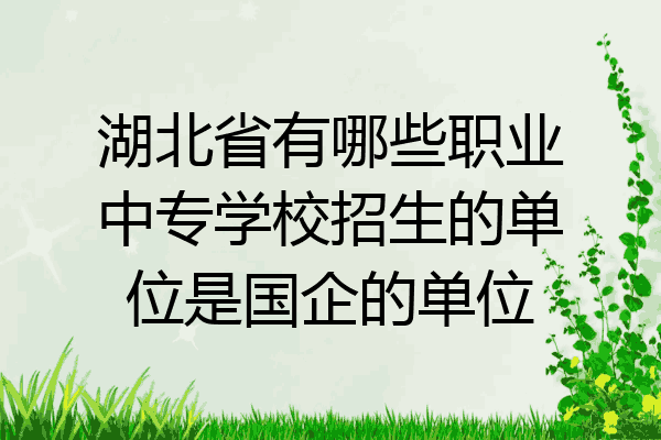 湖北省有哪些职业中专学校招生的单位是国企的单位