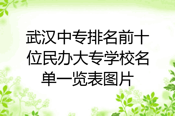 武汉中专排名前十位民办大专学校名单一览表图片