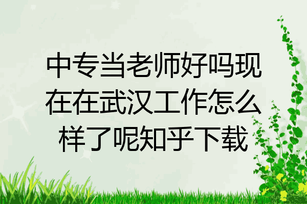 中专当老师好吗现在在武汉工作怎么样了呢知乎下载