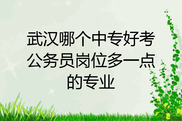 武汉哪个中专好考公务员岗位多一点的专业