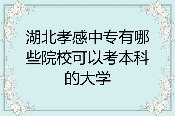 湖北孝感中专有哪些院校可以考本科的大学