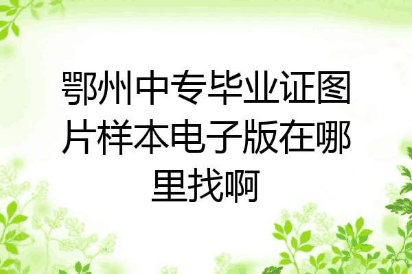 鄂州中专毕业证图片样本电子版在哪里找啊