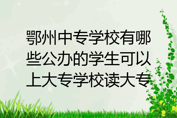鄂州中专学校有哪些公办的学生可以上大专学校读大专