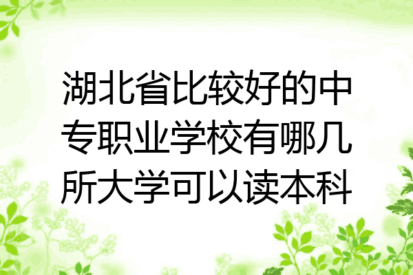 湖北省比较好的中专职业学校有哪几所大学可以读本科