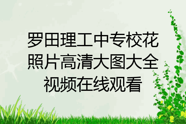 罗田理工中专校花照片高清大图大全视频在线观看