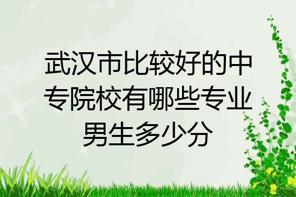 武汉市比较好的中专院校有哪些专业男生多少分
