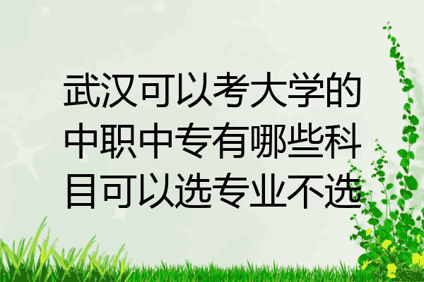 武汉可以考大学的中职中专有哪些科目可以选专业不选