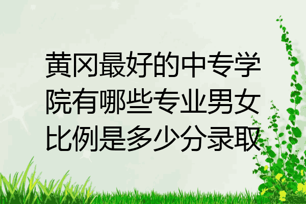 黄冈最好的中专学院有哪些专业男女比例是多少分录取