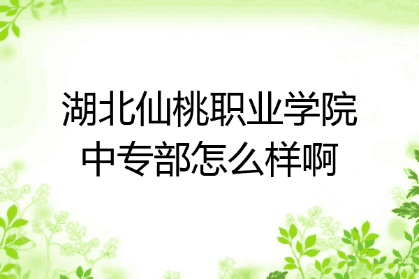 湖北仙桃职业学院中专部怎么样啊
