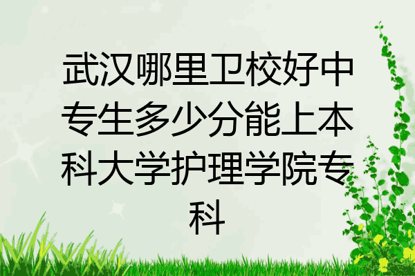 武汉哪里卫校好中专生多少分能上本科大学护理学院专科