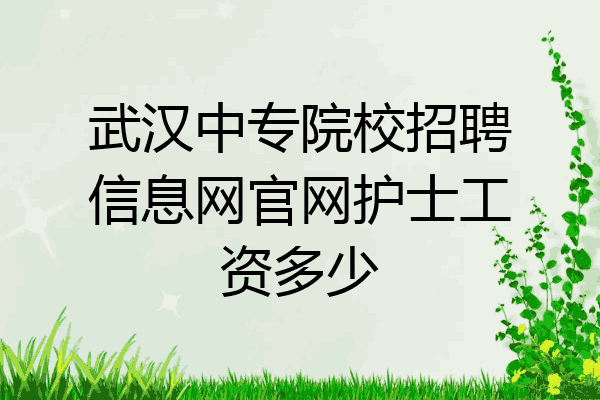 武汉中专院校招聘信息网官网护士工资多少
