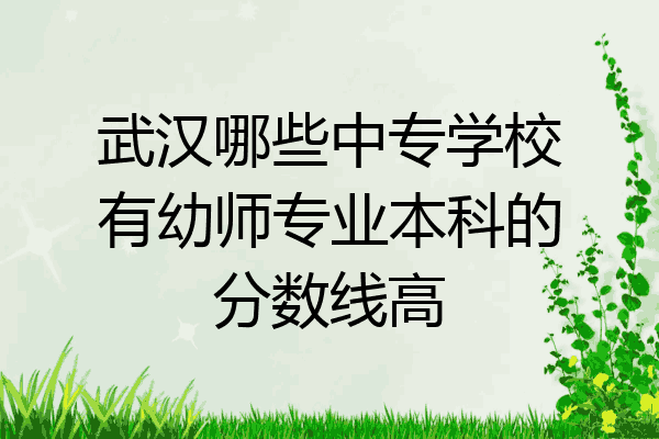 武汉哪些中专学校有幼师专业本科的分数线高