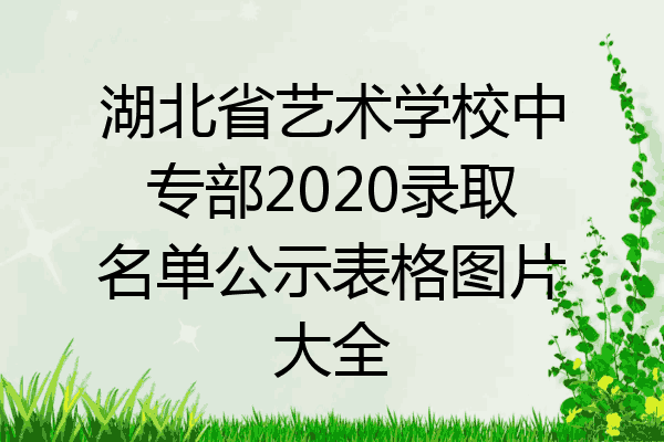 湖北省艺术学校中专部2020录取名单公示表格图片大全