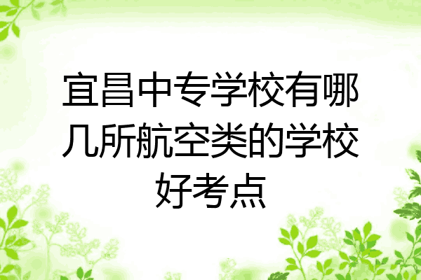 宜昌中专学校有哪几所航空类的学校好考点