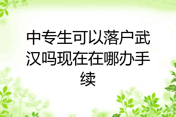 中专生可以落户武汉吗现在在哪办手续