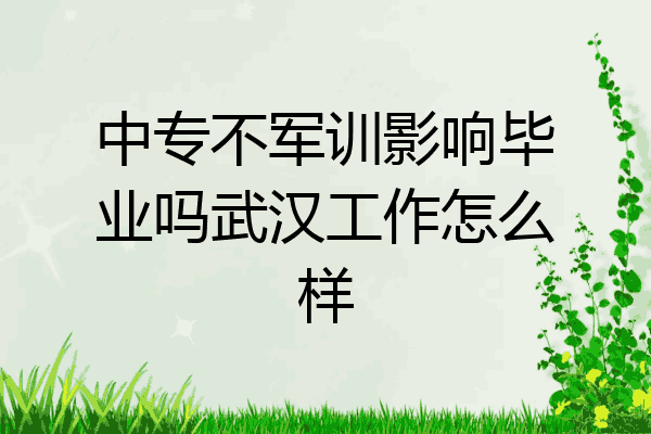 中专不军训影响毕业吗武汉工作怎么样