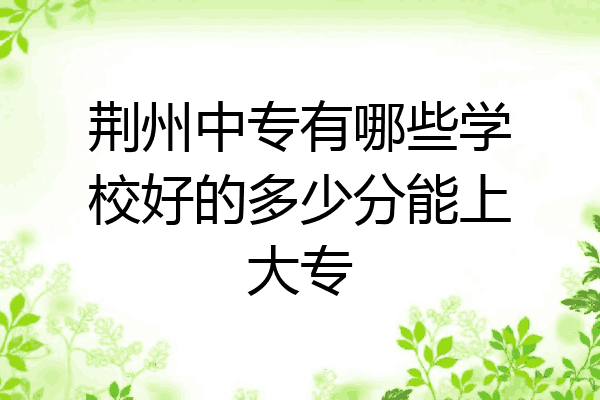 荆州中专有哪些学校好的多少分能上大专