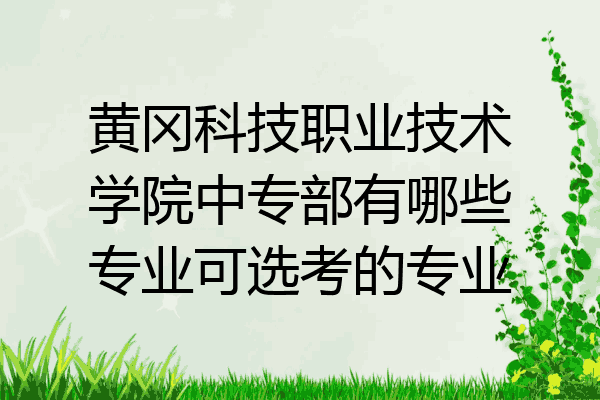 黄冈科技职业技术学院中专部有哪些专业可选考的专业